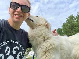 Rehoming great pyrenees in Keeling, VA