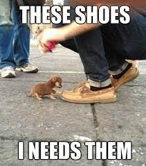 The Best Fashion Memes Of All Time Funny Animal Jokes Funny Animal Pictures Funny Animal Quotes