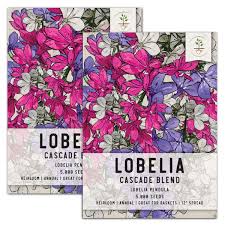 Image result for lobelia combine composition