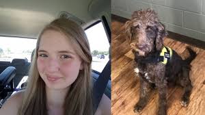 Fundraiser by Robert Reames : Help Maria get a 4 pawed miracle!