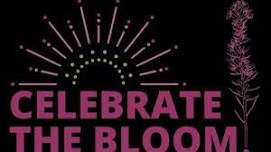 Celebrate the Bloom