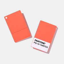 Pantone Plastic Chips Sudarshan Book Distributors