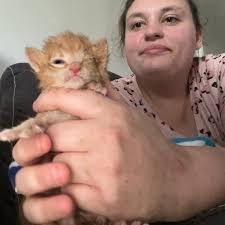 Kitten skrunk's journey from fragile to fierce