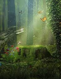 Lush Forest Butterfly And Tree Stump Photography Backdrop Backdrops Backgrounds Background Images Wallpapers Beautiful Wallpapers Backgrounds ★ shuffle all forest wallpaper backgrounds, or just your favorite nature forest background wallpapers. background images wallpapers