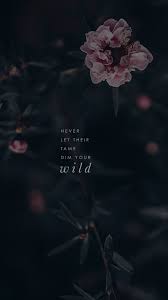 Pin On Wallpaper