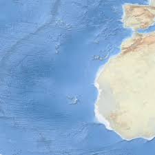 Image result for Hypericophyllum elatum