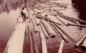 Image result for images logger logs river