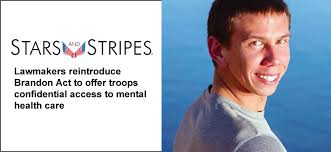 Lawmakers reintroduce Brandon Act