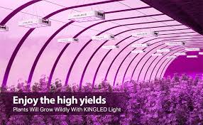 Unlike other led grow lights, skled distances their competitors by having one of the largest par ranges, as well as high lumens count. Amazon Com Kingled Newest 600w Led Grow Lights With Samsung Lm301b Leds And 10x Optical Condenser 2x2ft Coverage Full Spectrum Grow Lights For Indoor Hydroponic Plants Veg Bloom Greenhouse Growing Lamps