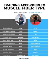 To Create A Program That Meets Your Clients Needs You Need A Solid Knowledge Of Muscle Tissue All The Way Down T Types Of Muscles Muscle Hypertrophy Training