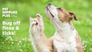 Flea Tick Event Pet Supplies Plus Bethel Park Pa 17 April 2021