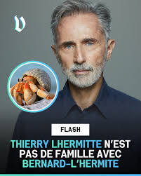 ❌❌Thierry Lhermitte n'est pas de famille avec Bernard-L'Hermite.
