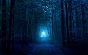 Love This Photograph Forest Wallpaper Best Nature Wallpapers Nature Wallpaper