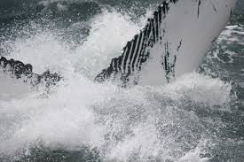 Image result for Gray 1984 Fleet