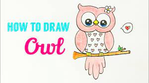 Make it a sideways u with the top and bottom lines connecting to the top and bottom of the circle you drew for the head. How To Draw Owl Easy Cute Owl Drawing Tutorial For Beginner Youtube