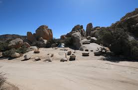 The campground is located along park boulevard and is surrounded by large boulders and joshua trees. Joshua Tree National Park S Best Campsites Photos Of The 30 Best