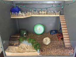 Diy Dwarf Hamster Cage All Custom Made Christmas Lights Just For Show Hamster Diy Cage Hamster Toys Diy Hamster Toys