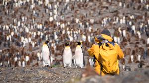 This solar eclipse will envelop much of northeastern montana and a slice of westernmost north dakota near local sunset. Dual Antarctic Solar Eclipse Voyages With Quark Expeditions