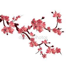 Yukle Branch Of Rose Blossoming Sakura Japanese Cherry Tree Vector Isolated Illustration On In 2020 Cherry Blossom Art Japanese Cherry Tree Cherry Blossom Drawing