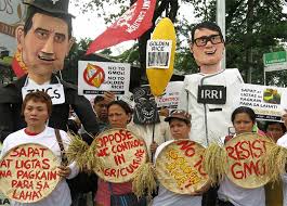 Campaign is a combination of direct action demonstrations and education. Grain Don T Get Fooled Again Unmasking Two Decades Of Lies About Golden Rice