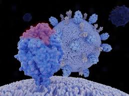 Image result for Nirsevimab