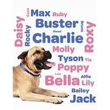 Liste de noms de chien issus du monde littéraire. Nom De Chien En M Pour Male Et Femelle La Liste Complete