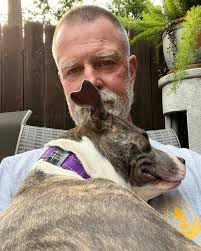 Everyone said they were coming to adopt Unit Five but he's still here!!  He's a big, and boy do mean we big, goofy, slobbery, baby dog that is  looking for a sturdy