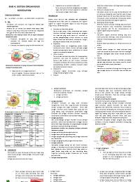 Makhluk hidup yang hanya memiliki satu sel disebut makhluk hidup uniseluler. Bab 4 Sistem Organisasi Kehidupan