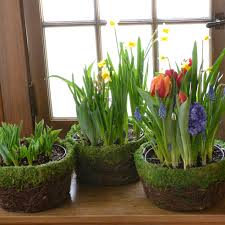 Bachman's floral, gift & garden. Have You Picked Up Your Bachman S Floral Gift Garden Facebook