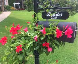 Annuals are indispensable for window boxes, or container gardens on porches or terraces., patios, decks, and terraces. You Ve Got Mail The Best Climbing Plants For Mailboxes Southern Living
