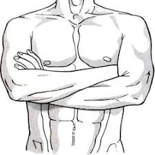 Resultado de imagen para cuerpo humano