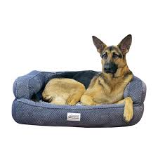 Keep them cozy and comfortable with plush dog beds, crate mats and other furnishings from petsmart. Simmons Beautyrest Colossal Rest Extra Large Chocolate Orthopedic Memory Foam Dog Bed Dogs Pet Supplies Urbytus Com
