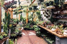 Pistils Nursery Portland Or Plants Pretty Plants Garden Nursery