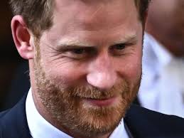 Andrew Bolt: I like seeing Prince Harry accused of racism