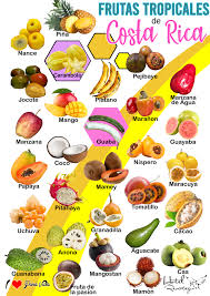 Pin On Costa Rica Travel