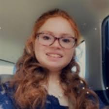 Which premium option is better in Disney Dreamlight Valley?