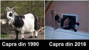 Vremea zalau, chat, horoscop zilnic Sa Crape È™i Capra Vecinului AcasÄƒ Facebook