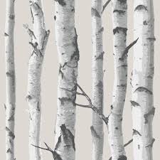 White birch wall art abstract painting forest canvas pictures contemporary modern artwork prints (24x36x1 panel) 4.9 out of 5 stars 29 $44.99 $ 44. Nuwallpaper Birch Tree Vinyl Peel Stick Wallpaper Roll Covers 30 75 Sq Ft Nu1650 The Home Depot