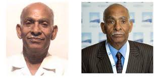 PDF) PILLARS OF MATHEMATICS SPROUTED