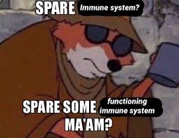Watch cartoon online free in hd. Pour One Out For Us Immunocompromised Mando Simp