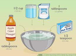 3 Ways To Use Home Remedies To Get Rid Of Gnats Wikihow How To Get Rid Of Gnats Gnats In House Plants Home Remedies