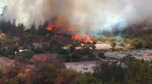 The incendio duo spell ( incendio duo ) was a charm that conjured green flames. Unas 50 Casas Son Destruidas Por Incendio Forestal En Limache Nacional Biobiochile