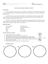 Learn vocabulary, terms and more with flashcards, games and select all that apply. Laboratory Activity No 3 Plant And Animal Tissue Activity Tissue Biology Plant Stem