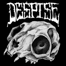 Image result for Dasylepis