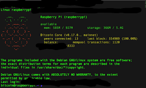 Pi network is using an innovative digital currency but like for everything in life, feel free to do your own research. My Raspberry Pi Bitcoin Node Up And Running 100 Blockchain Synced Bitcoin