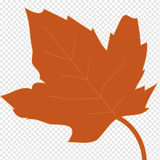 Autumn Leaf Drawing Autumn Leaf Color Plant Tree Maple Leaf Orange Woody Plant Flower Drawing Leaf Autumn Leaf Color Png Pngwing Drawing of a boy sweeping.