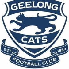 Afl football team logo names. Category Afl Logopedia Fandom