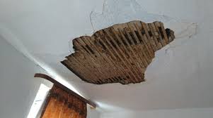 Gerade wenn es um das renovieren von. Altbau Decke Verputzen