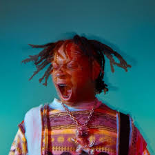 Submitted 5 hours ago by theofficialyamakazi. Trippie Redd White Aesthetic Novocom Top