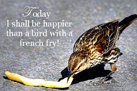 Maybe you would like to learn more about one of these? Im Happier Than Quotes Funny Quotesgram
